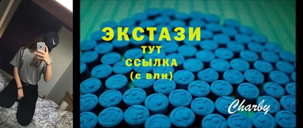 индика Сосновоборск