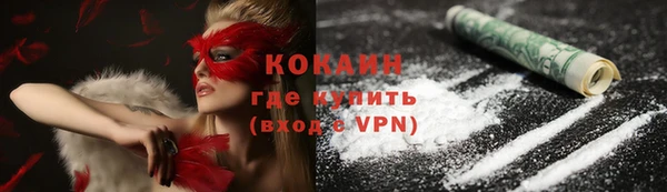 индика Сосновоборск