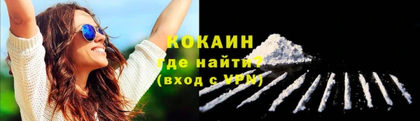 индика Сосновоборск