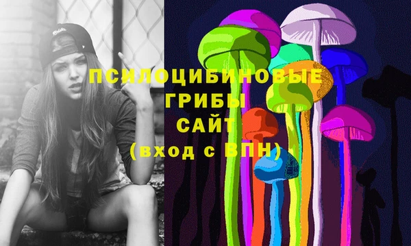 мескалин Сосновый Бор