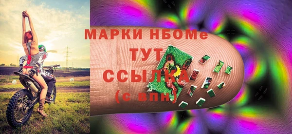 индика Сосновоборск