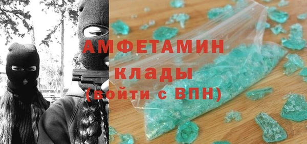 индика Сосновоборск