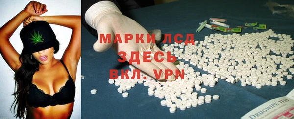 индика Сосновоборск