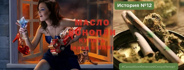 индика Сосновоборск